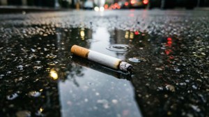 Cigarette Butt Puddle