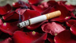 Cigarette on Rose Petals