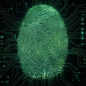 Circuit Fingerprint