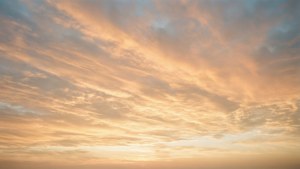 Cirrus Clouds Golden Sunrise