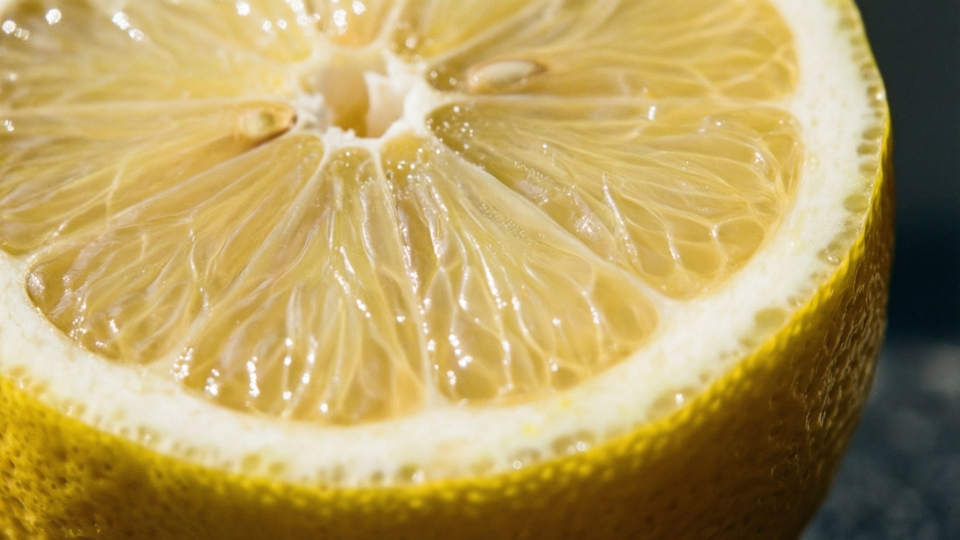 Citrus Slice by Wallpapers.art Studio