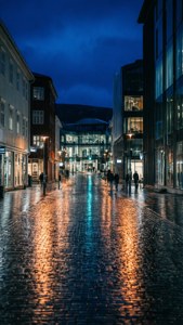 City Lights Reflection