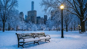 City Park Snowy Evening