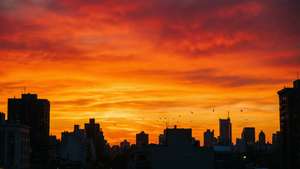 City Sunset Silhouette