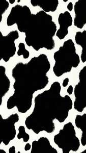 Classic Black White Spots