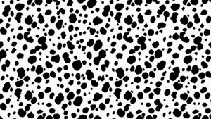 Classic Dalmatian Spots