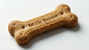 Classic Milk Bone Closeup