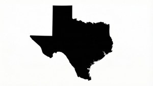 Clean Outline Map
