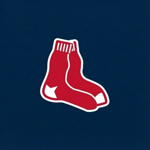 Clean Sox Logo