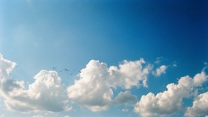 Clear Blue Skies