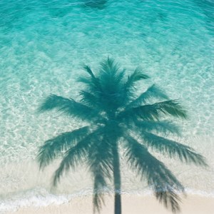 Clear Waters Above