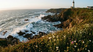 Cliffs and Lighthouse