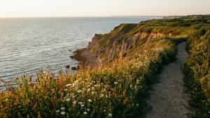 Cliffside Golden Hour