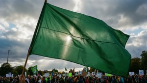 Climate March Flag