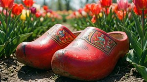 Clogs and Tulips