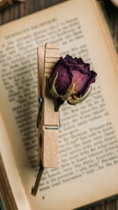 Clothespin and Dried Flower