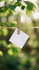Clothespin and Note