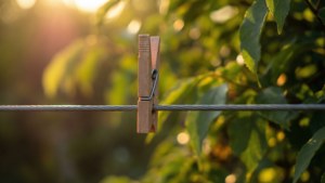 Clothespin in Nature