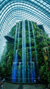 Cloud Forest Misty Oasis
