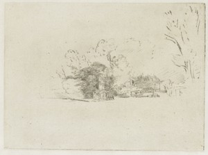 Clump of trees with a vista