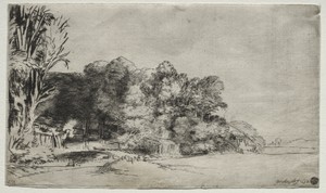 Clump of Trees with a Vista