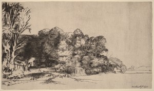Clump of Trees with a Vista