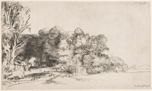 Clump of Trees with a Vista