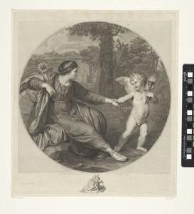 Clytia