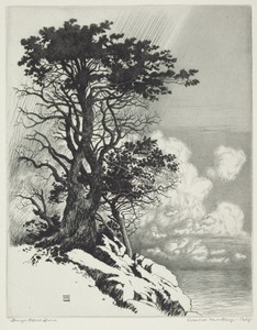 Coast at Monterey, California