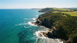 Coastal Aerial View