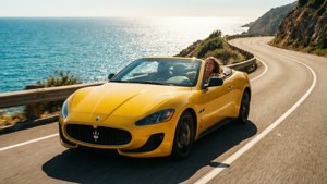 Coastal Drive Joy