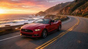 Coastal Highway Rush