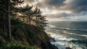 Coastal Pine Cliff