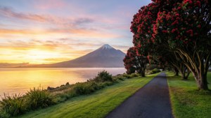 Coastal Walkway Sunrise