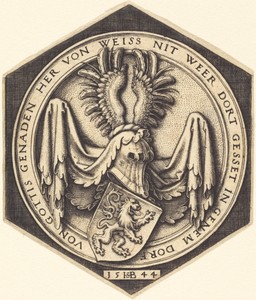 Coat of Arms with a Rampant Lion
