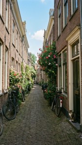 Cobblestone Charm