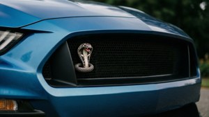 Cobra Emblem Detail