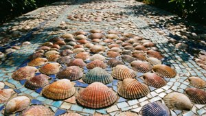 Cockle Mosaic Path