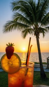 Cocktail Sunset Palm