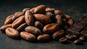 Cocoa and Coffee