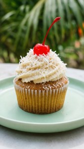 Coconut Cream Tropical
