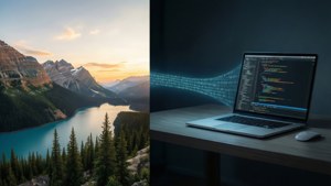 Code and Nature Harmony