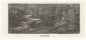 Colinet rust tijdens de nacht