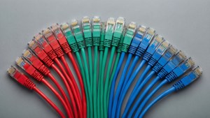 Colorful Ethernet Cable Flatlay
