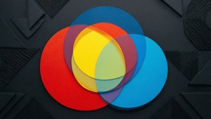 Colorful Trio Venn