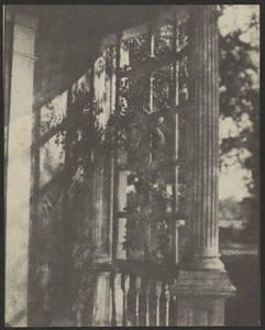 [Columns and Trellis]
