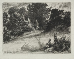 Combe Bottom