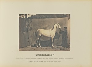 Combinaison