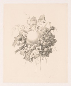 Compositie van vruchten
