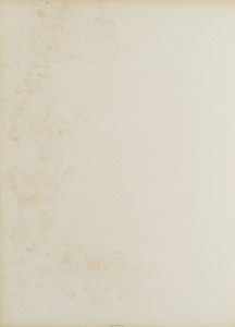 Comte Buol